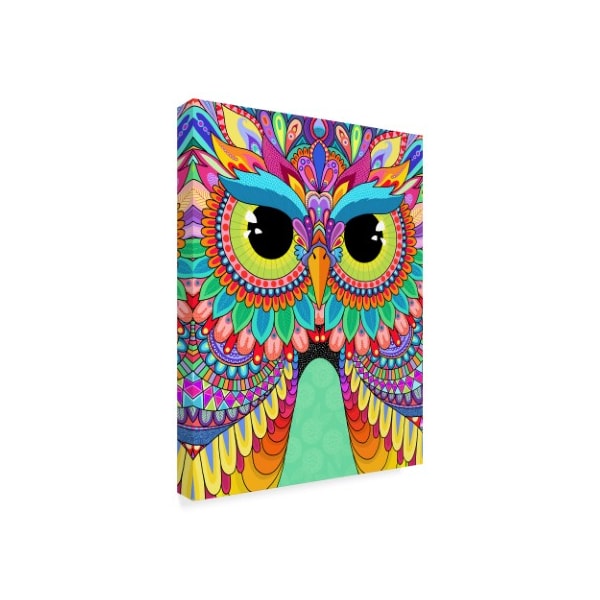 Hello Angel 'Rainbow Hoot' Canvas Art,14x19